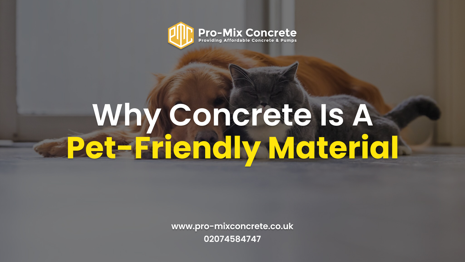 Why Concrete Is A Pet-Friendly Material